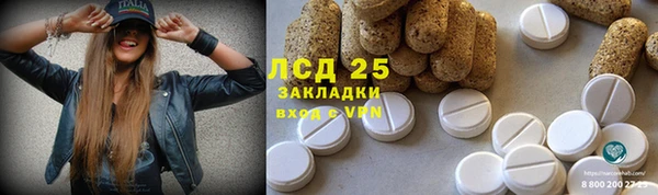 spice Арсеньев