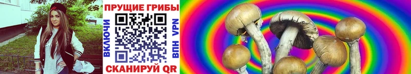 мориарти состав  наркошоп  Учалы  Псилоцибиновые грибы GOLDEN TEACHER  гидра ТОР 
